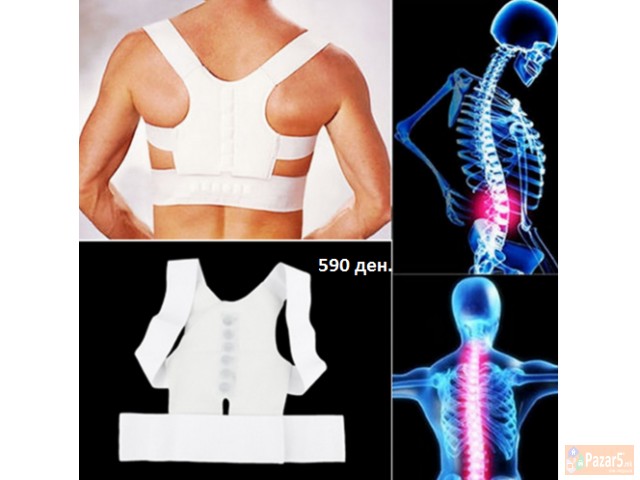 Појас за половината, појас за 'рбет, Детски појас 