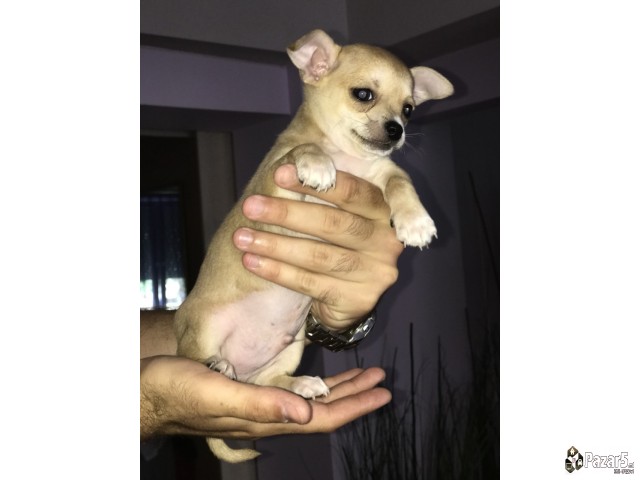 Se Orodava Civava Masko