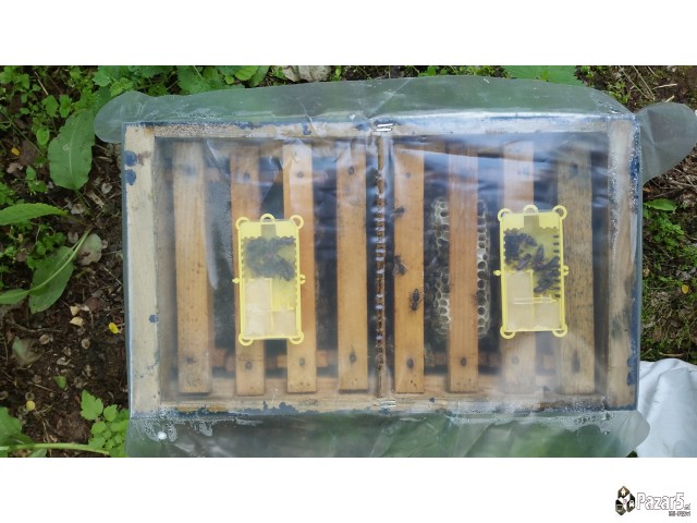 Pceli Matici Roevi Nukleusi - Pcelarstvo Dodevski