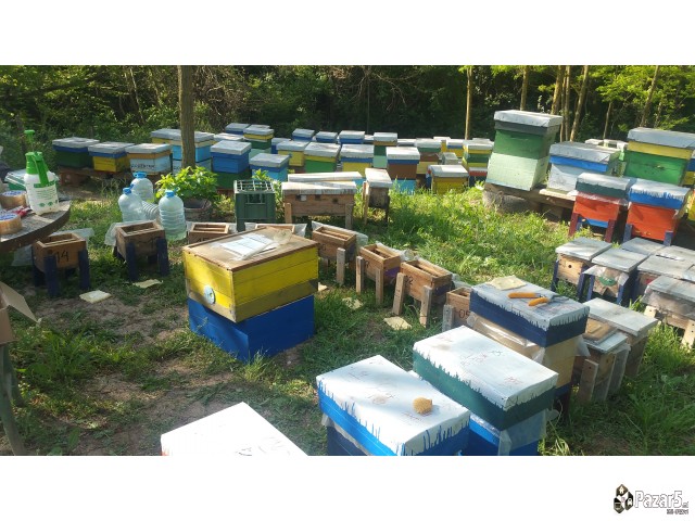 Pceli Matici Roevi Nukleusi - Pcelarstvo Dodevski