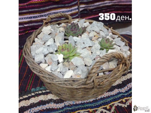 Kitki,cuvar Kuci..........