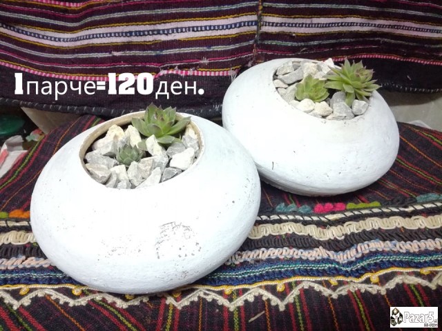 Kitki,cuvar Kuci..........