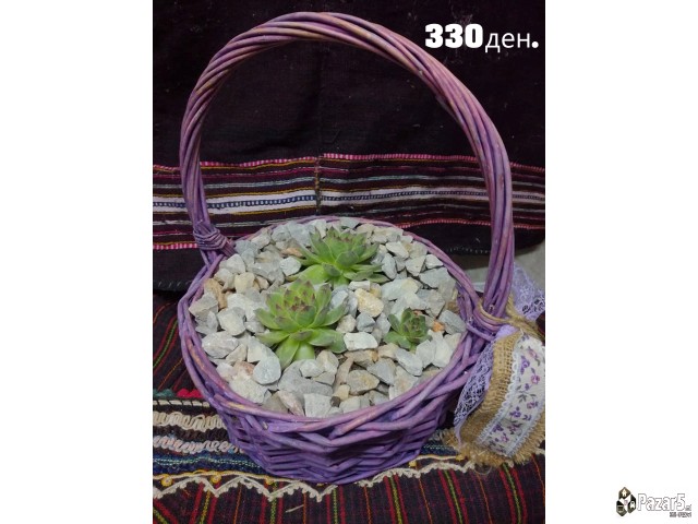 Kitki,cuvar Kuci..........