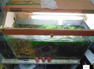 Akvarium