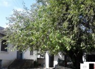 Prodavam I Menuvam Za Stan Kuka I Plac-070376604