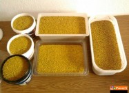 Med, Polenov Prav, Propolis - Мед, поленов прав, п
