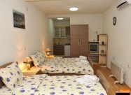 Villa TomiĆ Ohrid  Apartmani, Studija I Sobi Klima