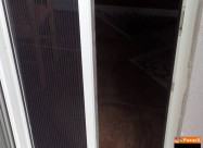 Venecijaner, Variolajt, Rolo, Zebra Komarnici, Rol