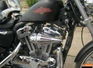 Harley Davidson