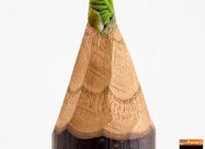  Apiherbal-natural Pharmacy