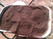 Biohumus