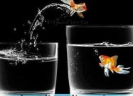 Internet Marketing 