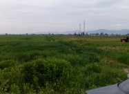 Se Prodava Pogolem Plac
