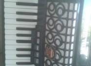 Harmonika Royalstandard Germanska 5+3 Registri 80 