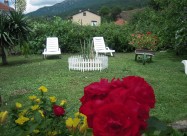 Lile Pestani Apartmani I Bungalowi