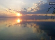Lile Pestani Apartmani I Bungalowi