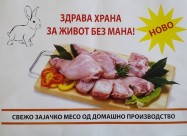 Zajci Zajaci Hajkom