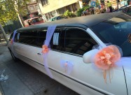 Limo 