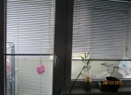 Se Prodava Namesten Stan Vo Bitola Od 40m2
