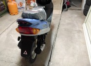 Nov Glanz Yiying 50cc