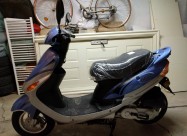 Nov Glanz Yiying 50cc