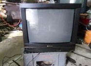 Televizori