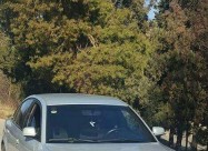 Passat B5 Delfin