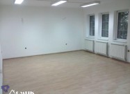Domik Izdava Deloven Prostor Vo Centar