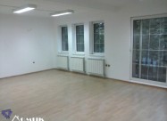 Domik Izdava Deloven Prostor Vo Centar