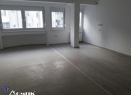 Domik Izdava Deloven Prostor Vo Centar