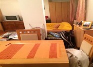 Se Izdava Trosoben Stan Vo Micurin