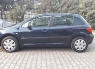 Peugeot 307 1.6hdi 90ks 2007 (auto Kodeks)