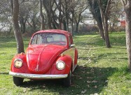 Vw Buba