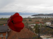 Najubaviot Pogled Kon Ohrid I Ohridsko Ezero