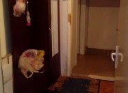 Se Prodava Dupleks Stan Vo Novo Lisice