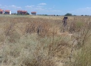 Плац во гладно поље