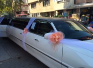 Limo Limousine 