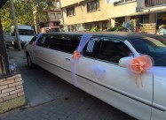 Limo Limousine 
