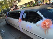 Limo Limousine 