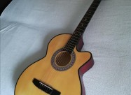 Akusticna Elektricna Gitara Novi