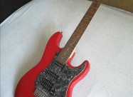 Akusticna Elektricna Gitara Novi