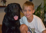 Labrador Kucenca So Odlicno Pedigre Od Vrvni Linii
