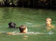 Labrador Kucenca So Odlicno Pedigre Od Vrvni Linii