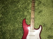 Elektricna Gitara Washburn
