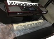 Korg Pa1000