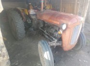 Imt533