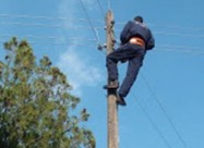 Elektricar