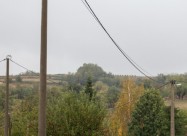 Elektricar