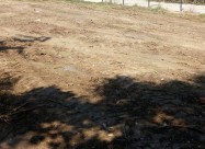 Се продава плац во Пинтија