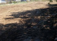 Се продава плац во Пинтија